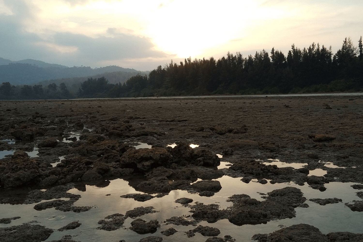 blog-images