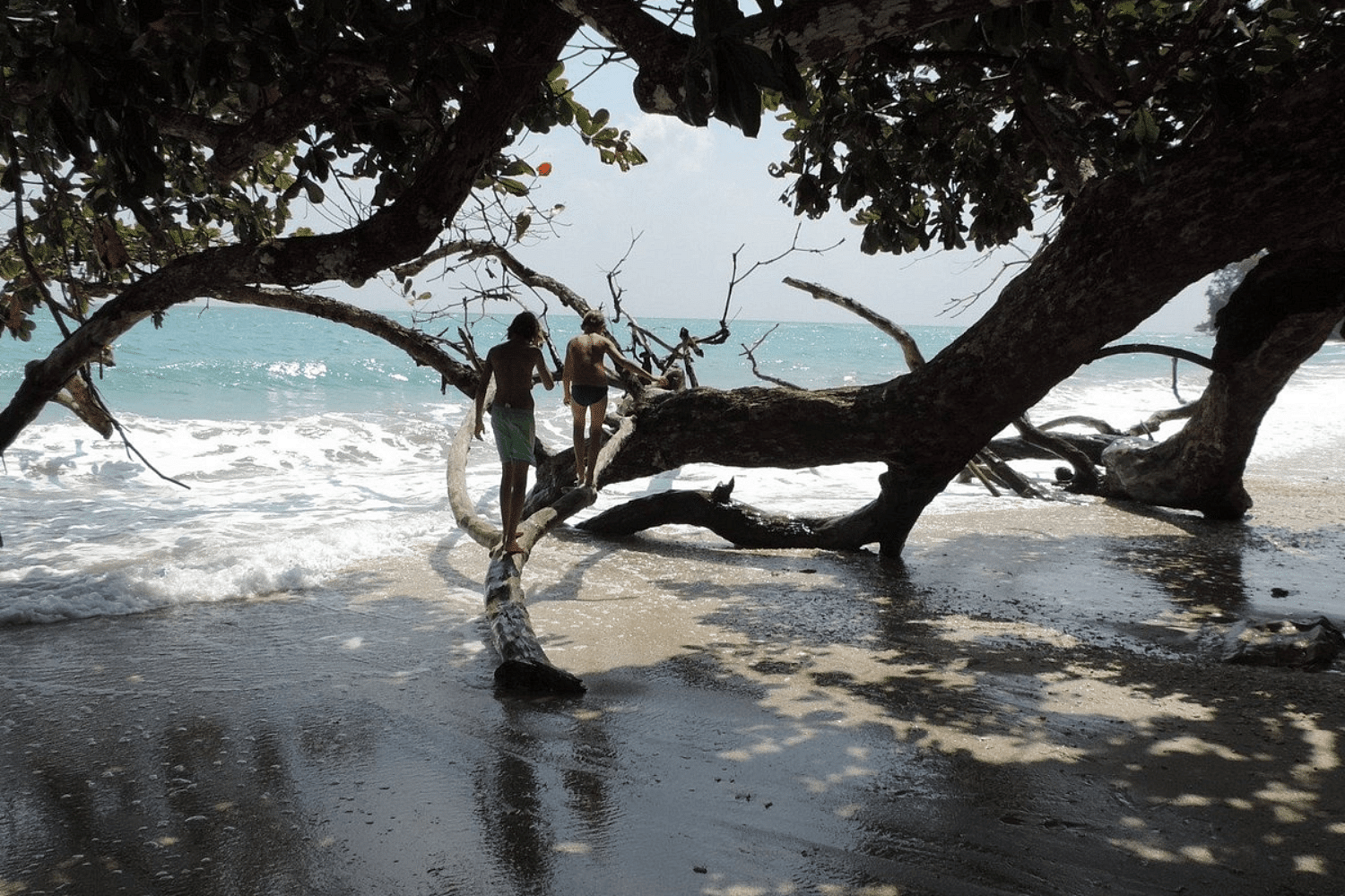 blog-images