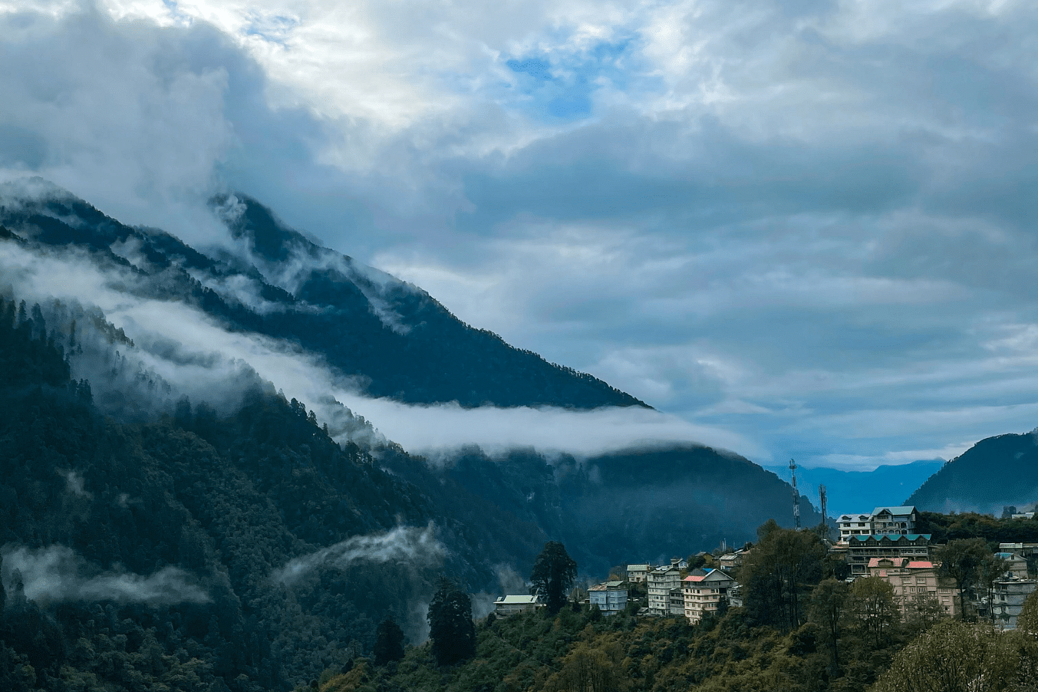 blog-images