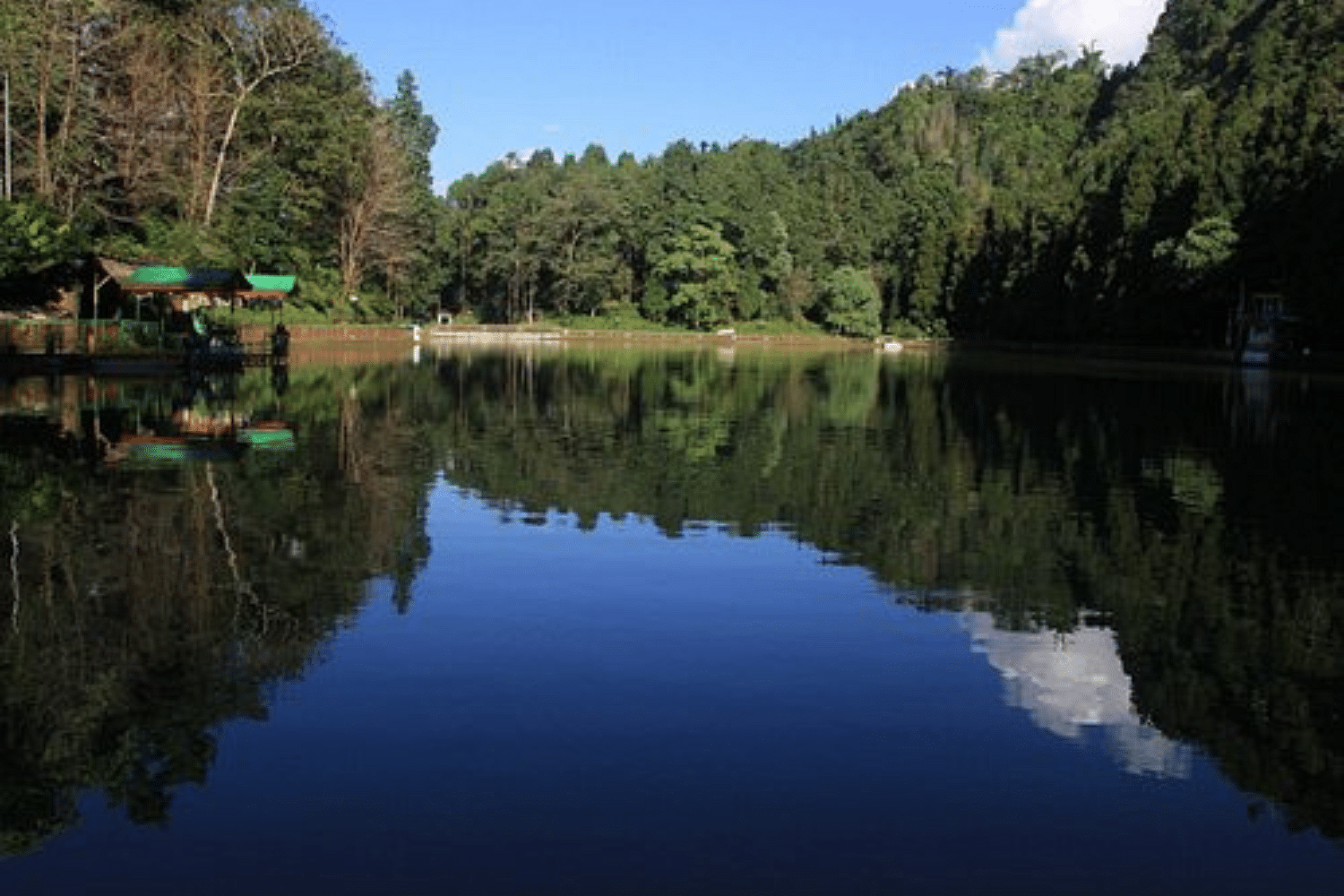 blog-images