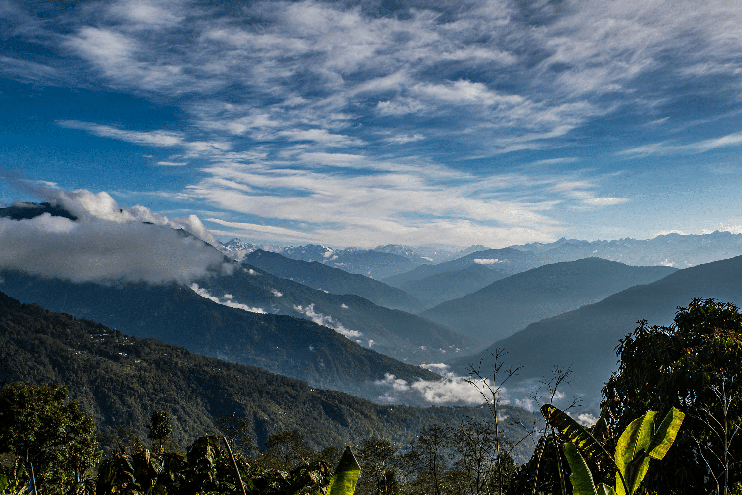 blog-images