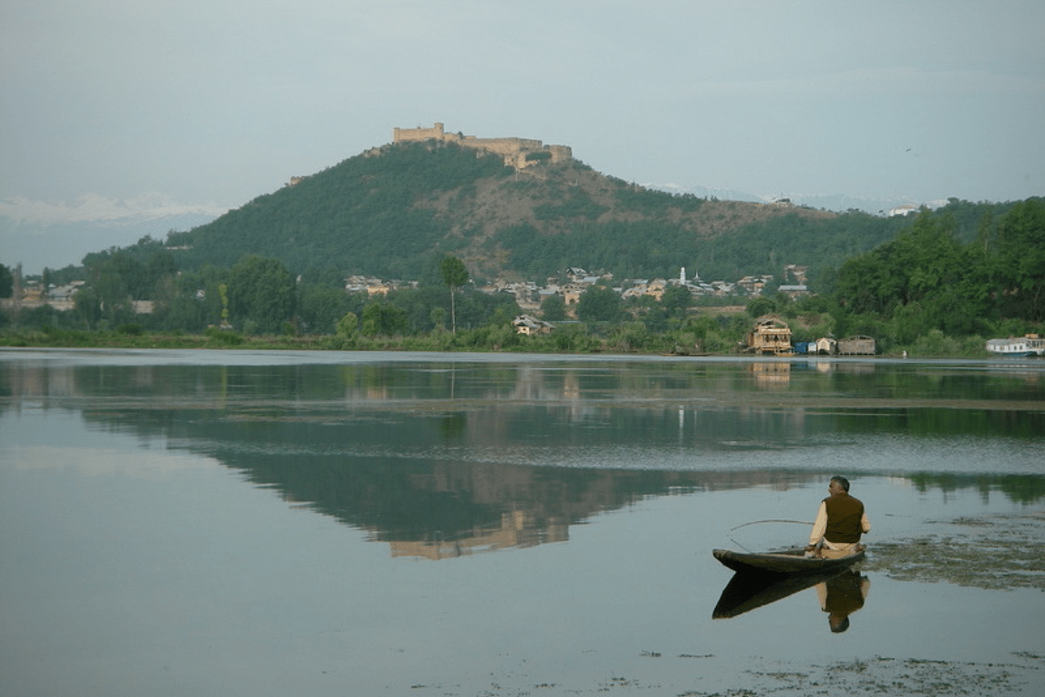 blog-images