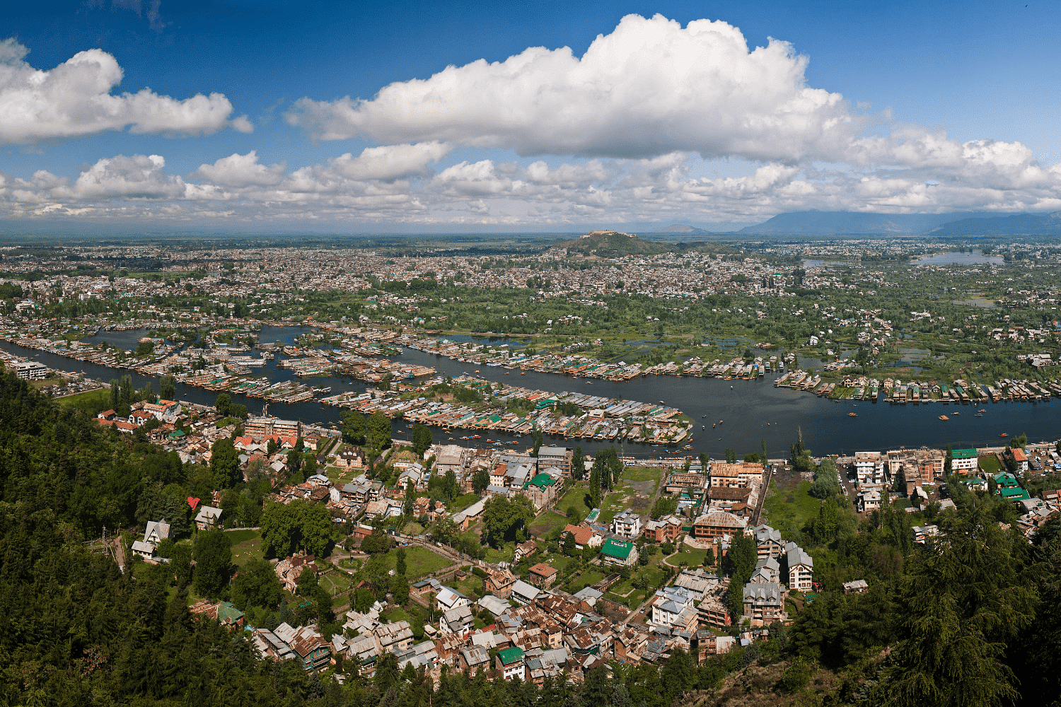 blog-images