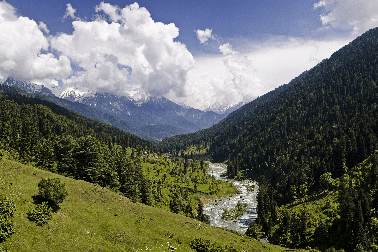 blog-images