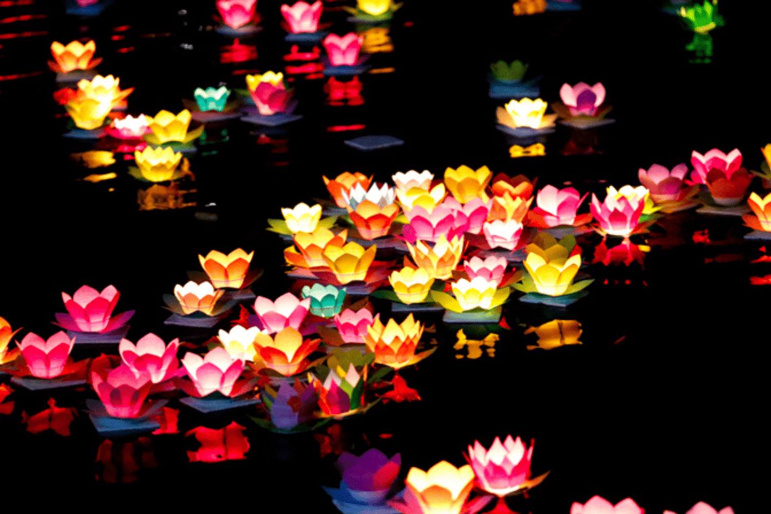 blog-images