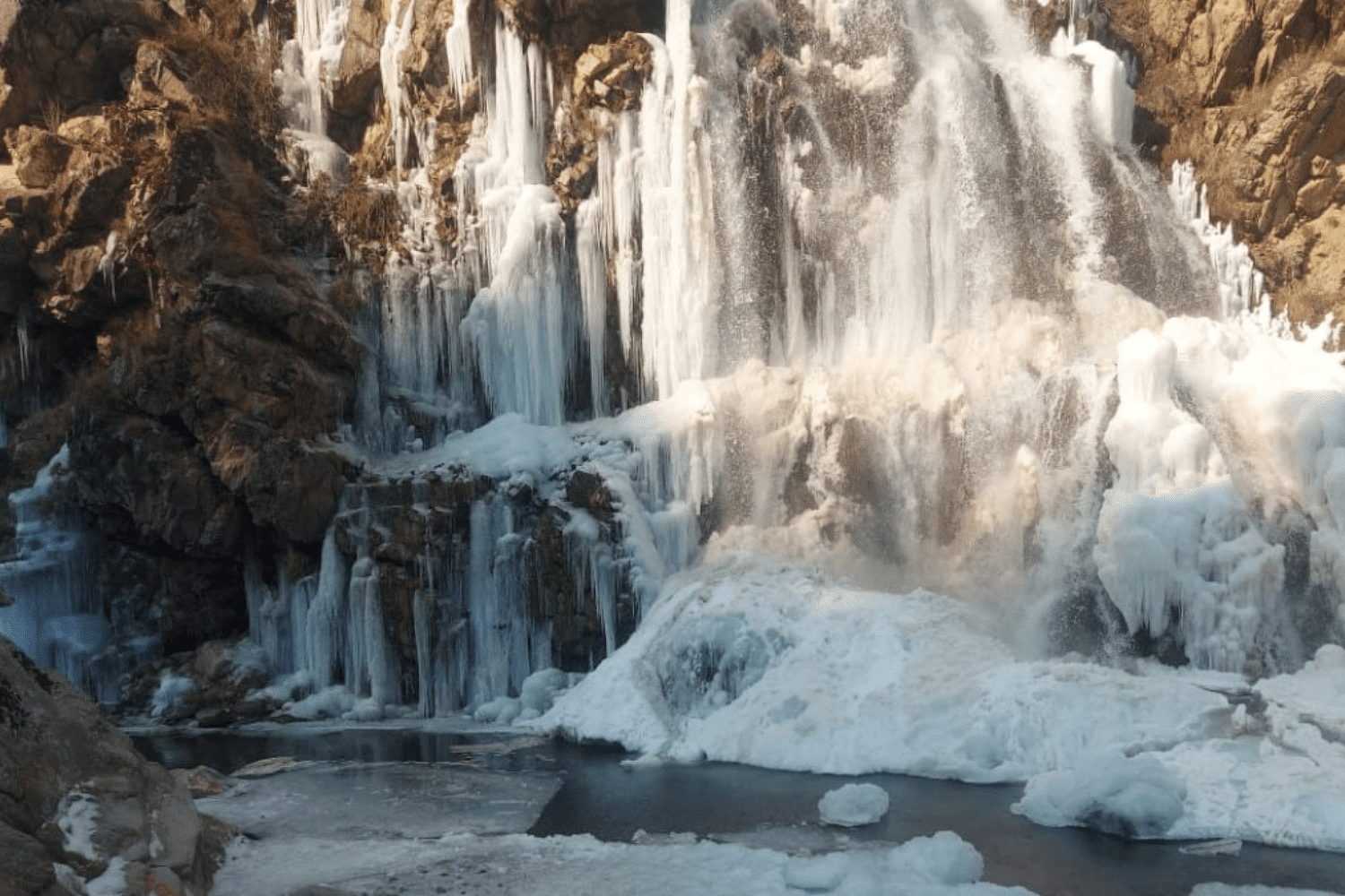 blog-images