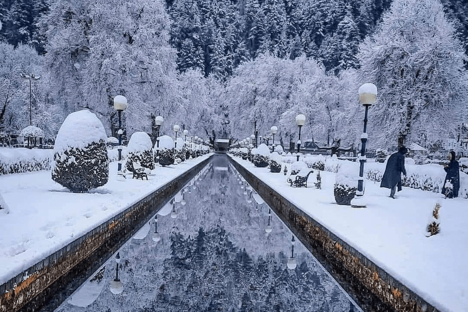 blog-images