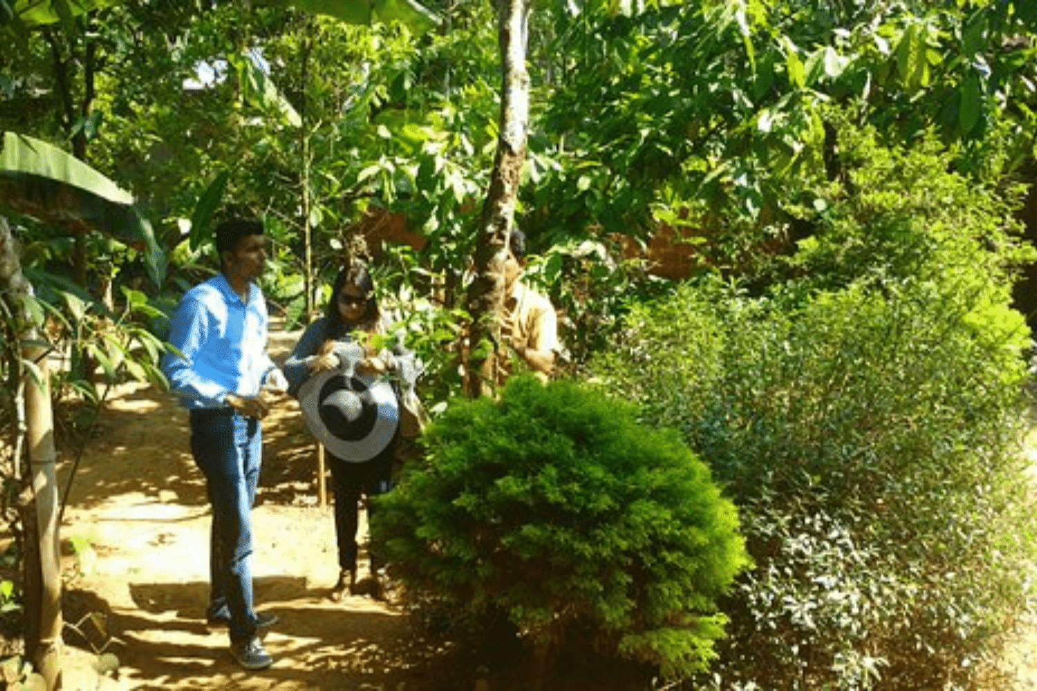 blog-images