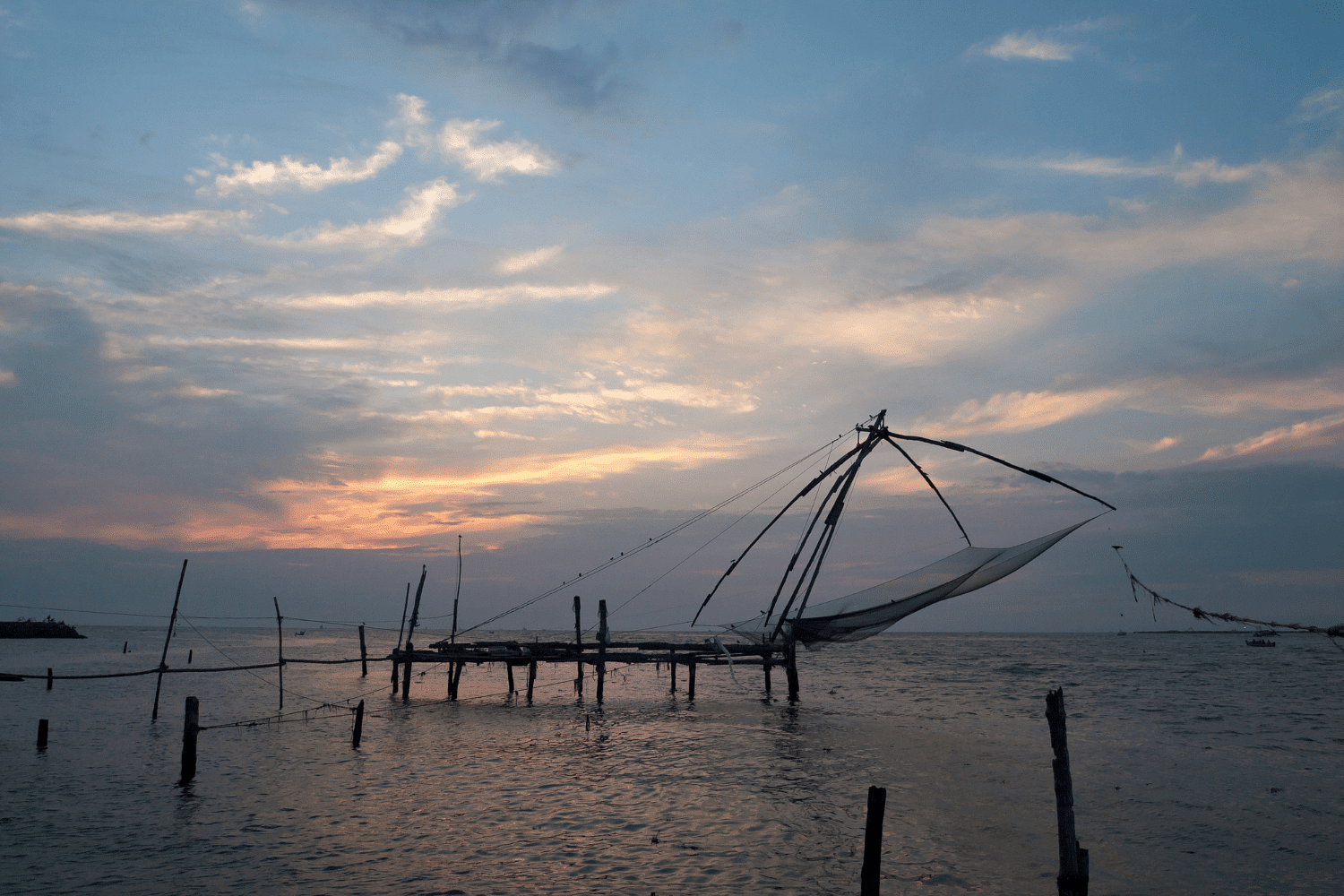 blog-images