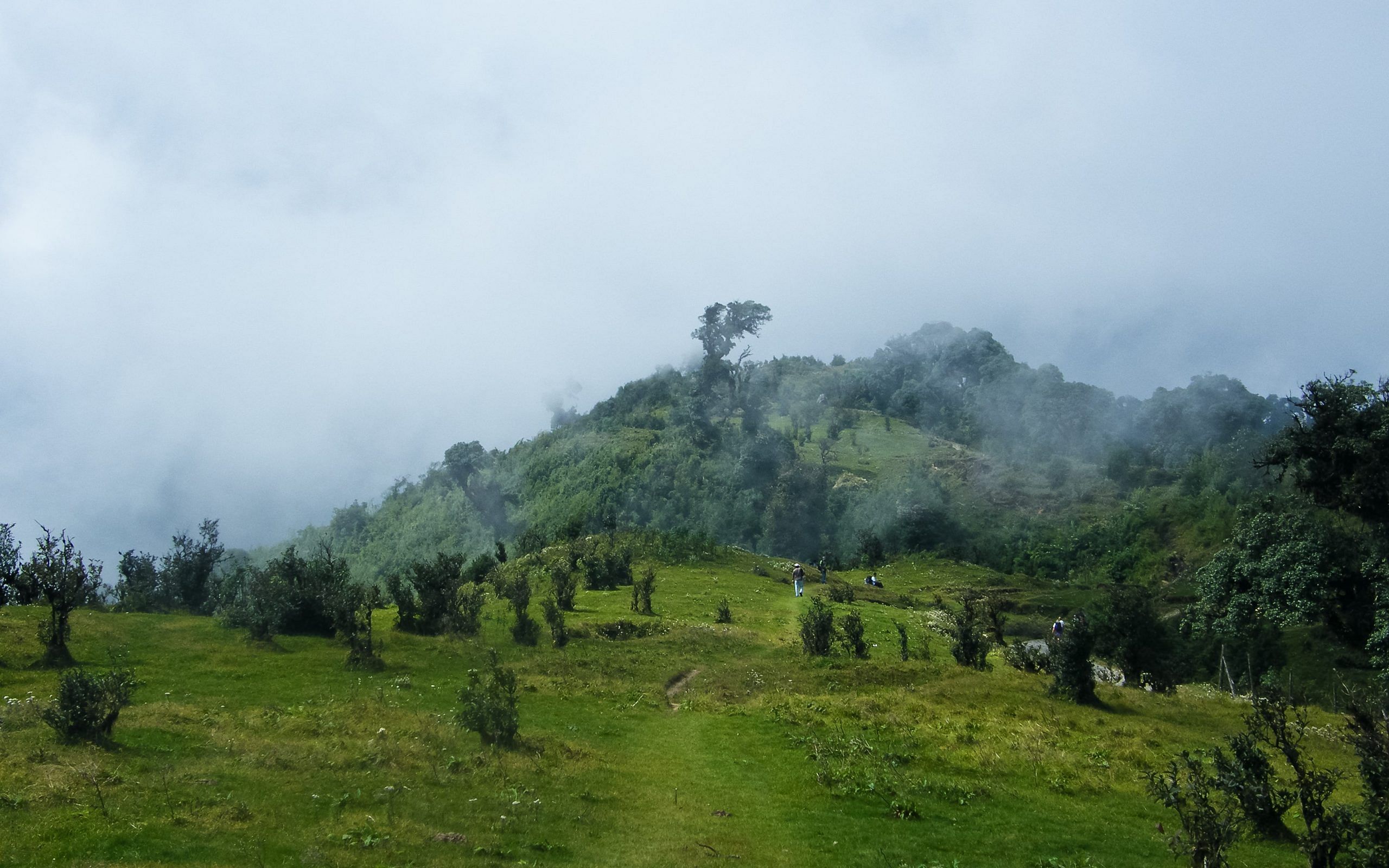 blog-images