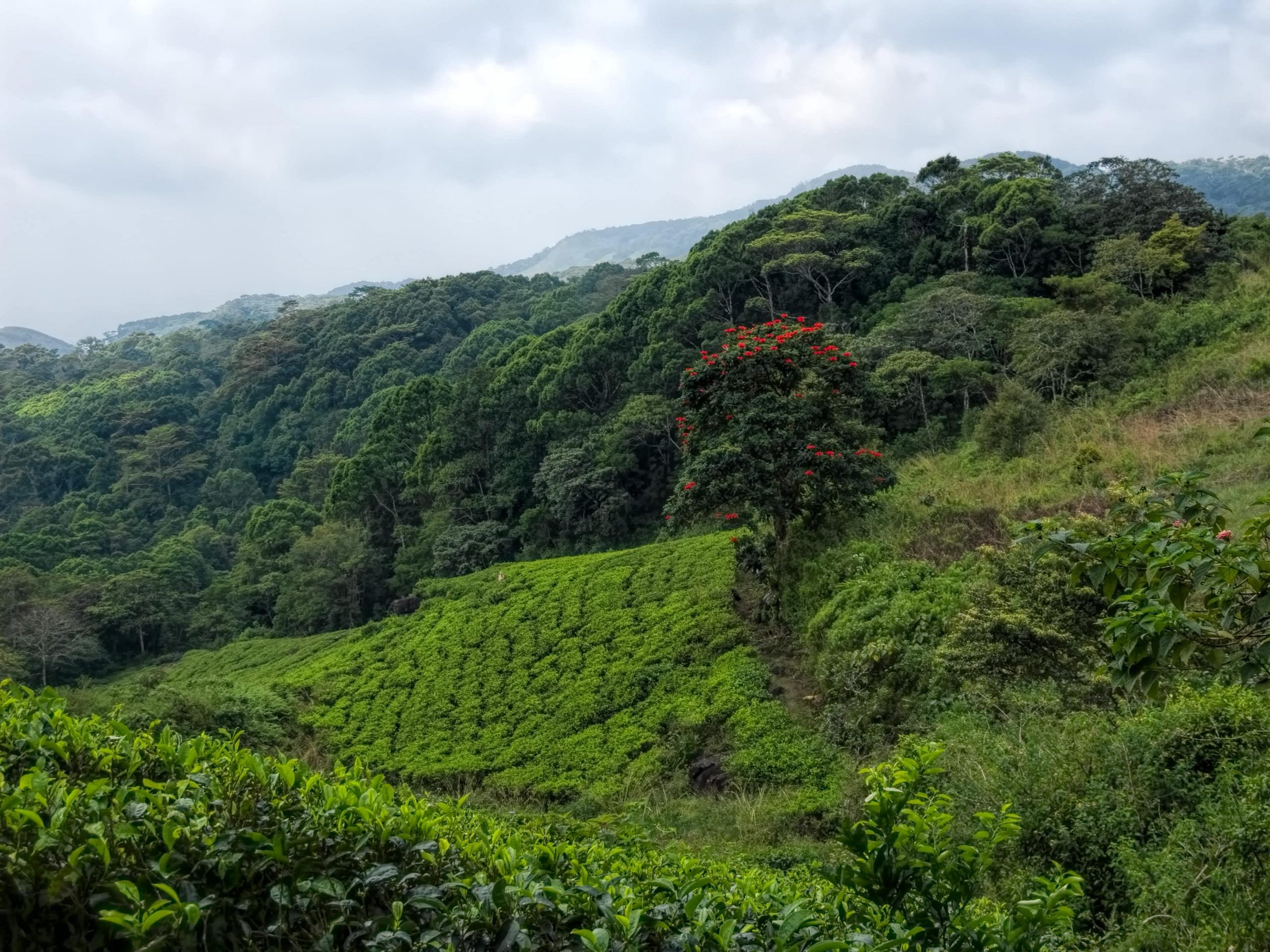 blog-images