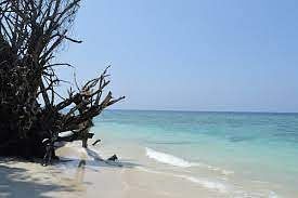 blog-images