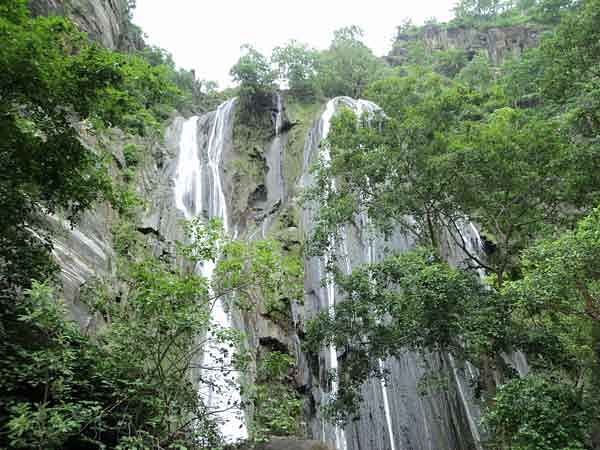blog-images