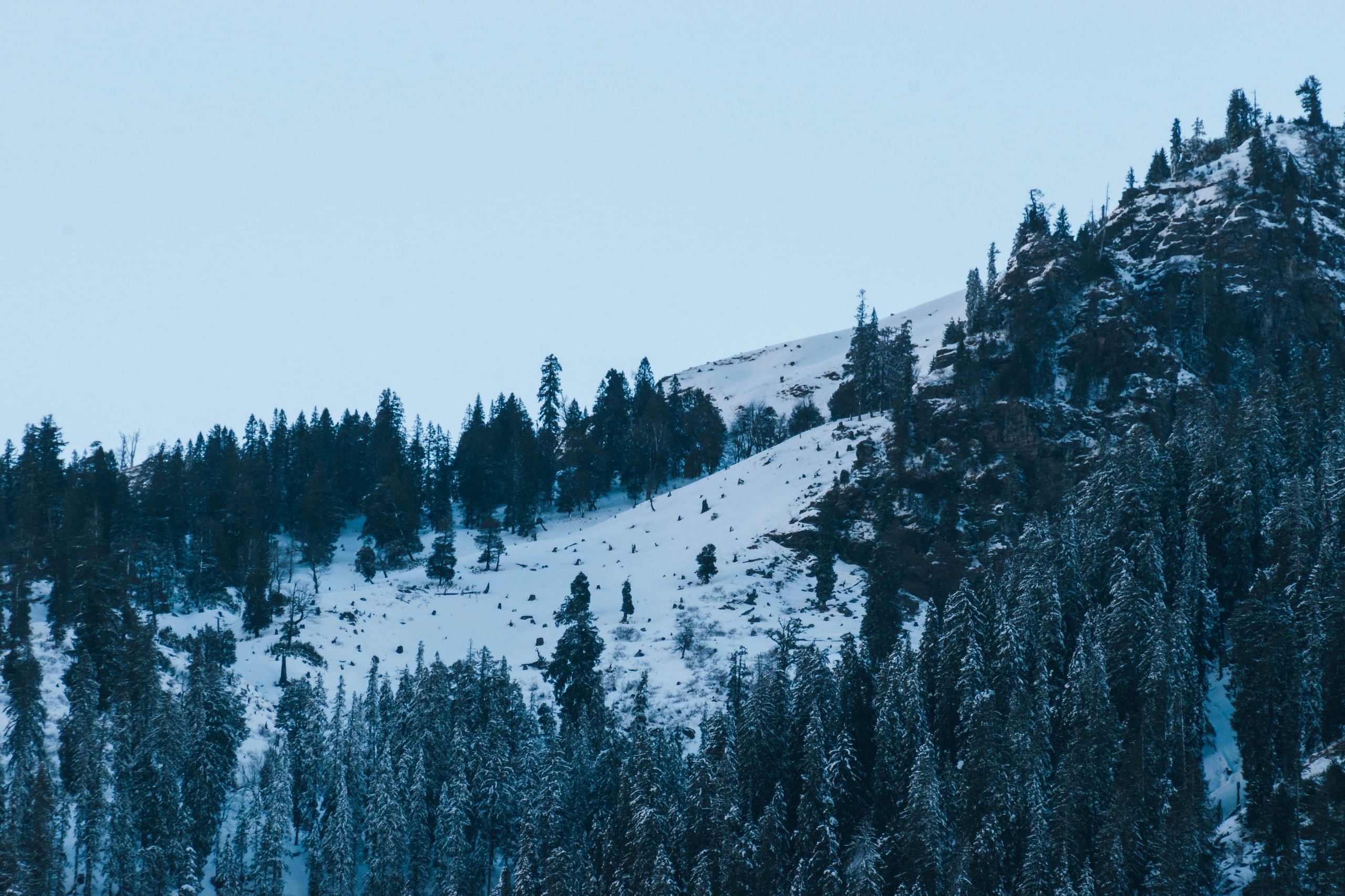 blog-images