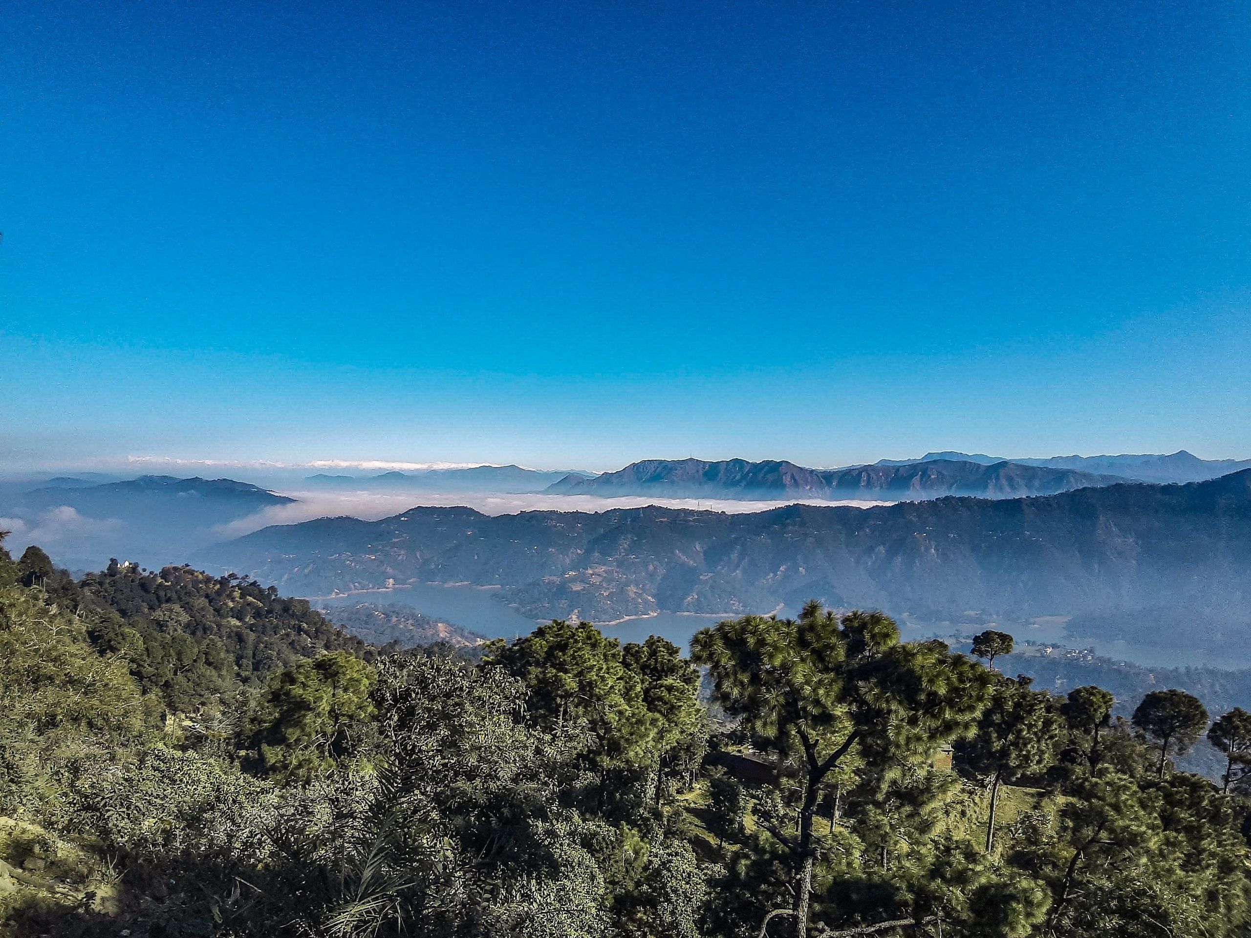 blog-images