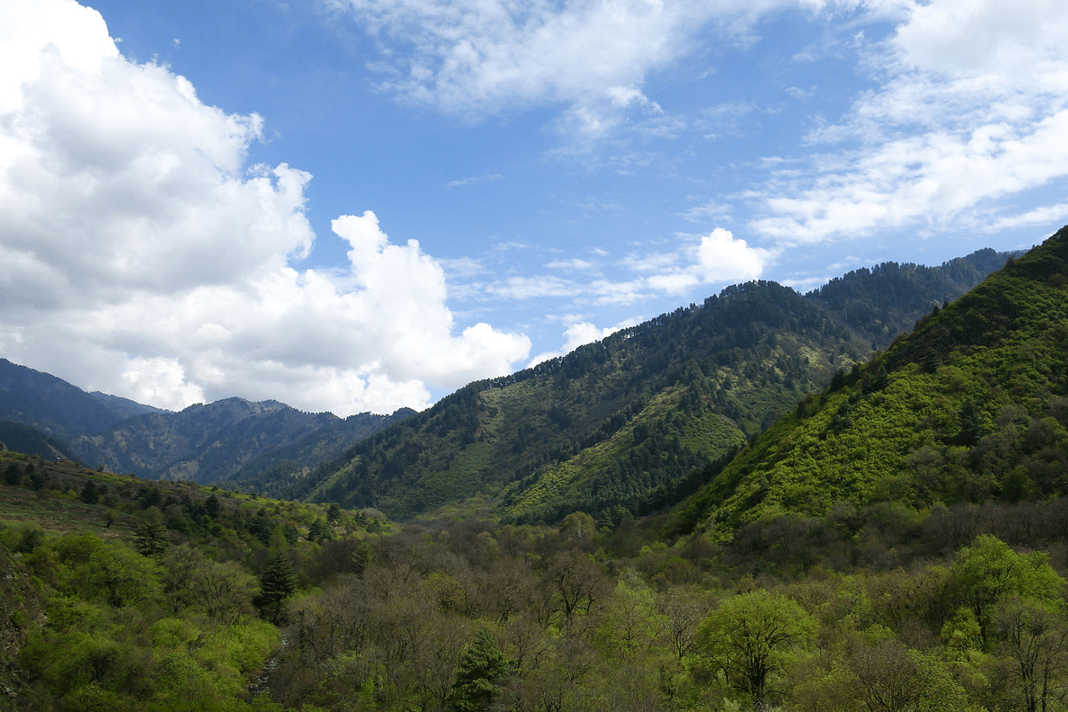 blog-images