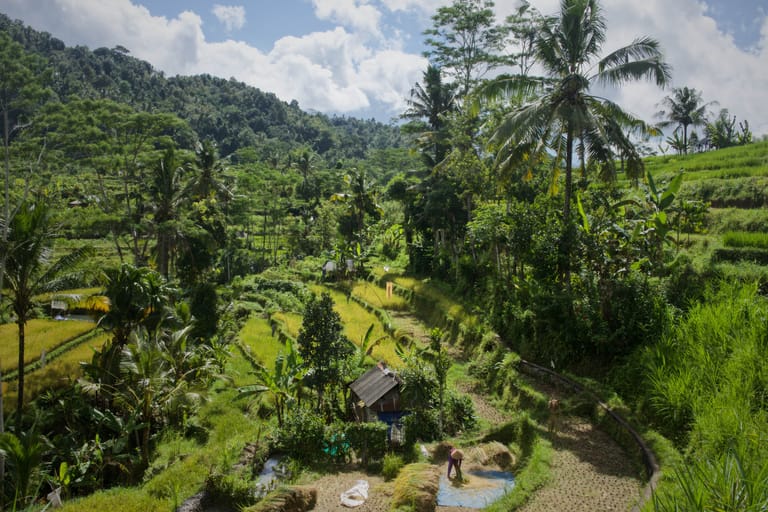 sidemen-valley-in-bali