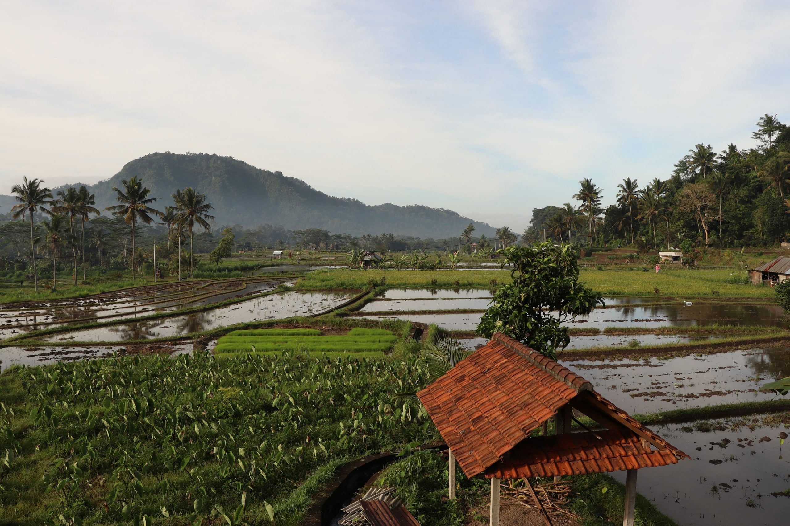 blog-images