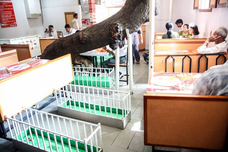 lucky-restaurant-in-ahmedabad