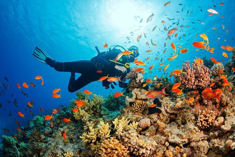 scuba-diving-in-andaman