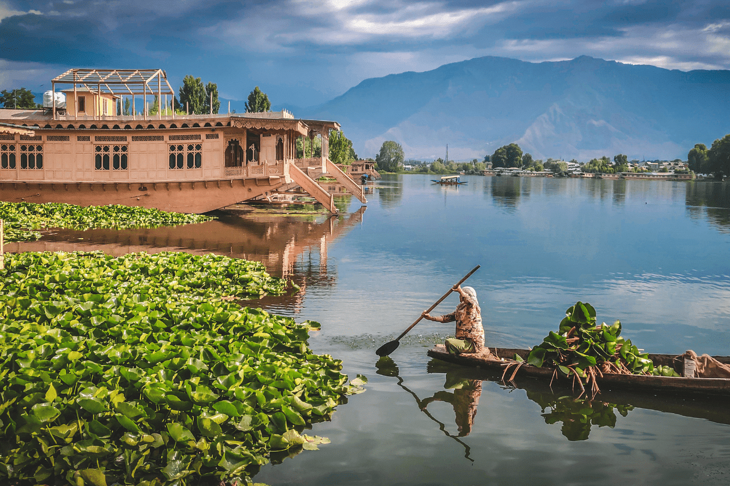 kashmir-or-manali-for-honeymoon