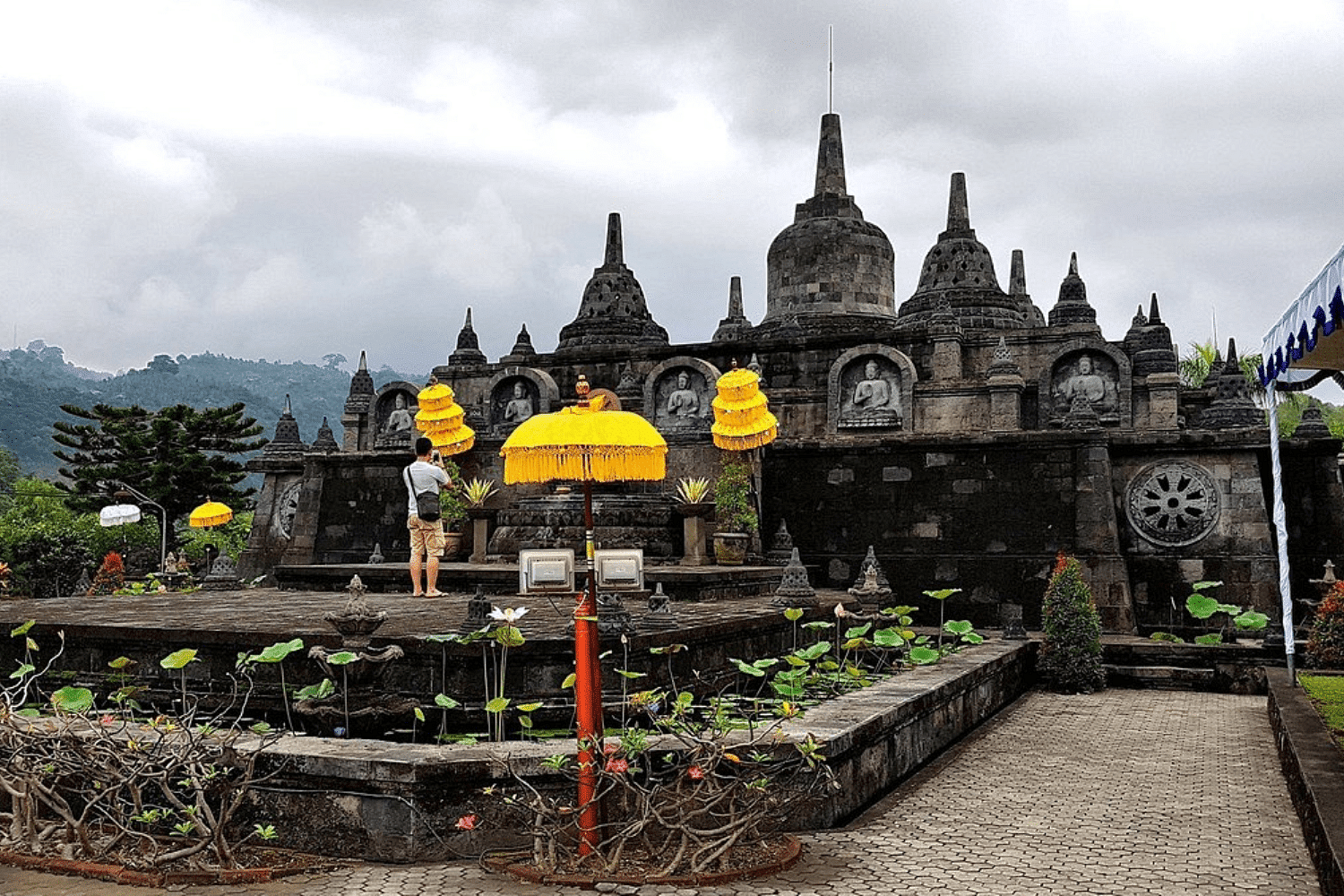 blog-images