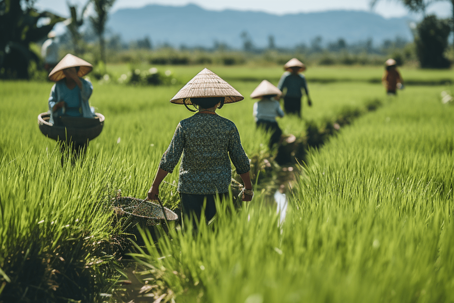 vietnam-in-october