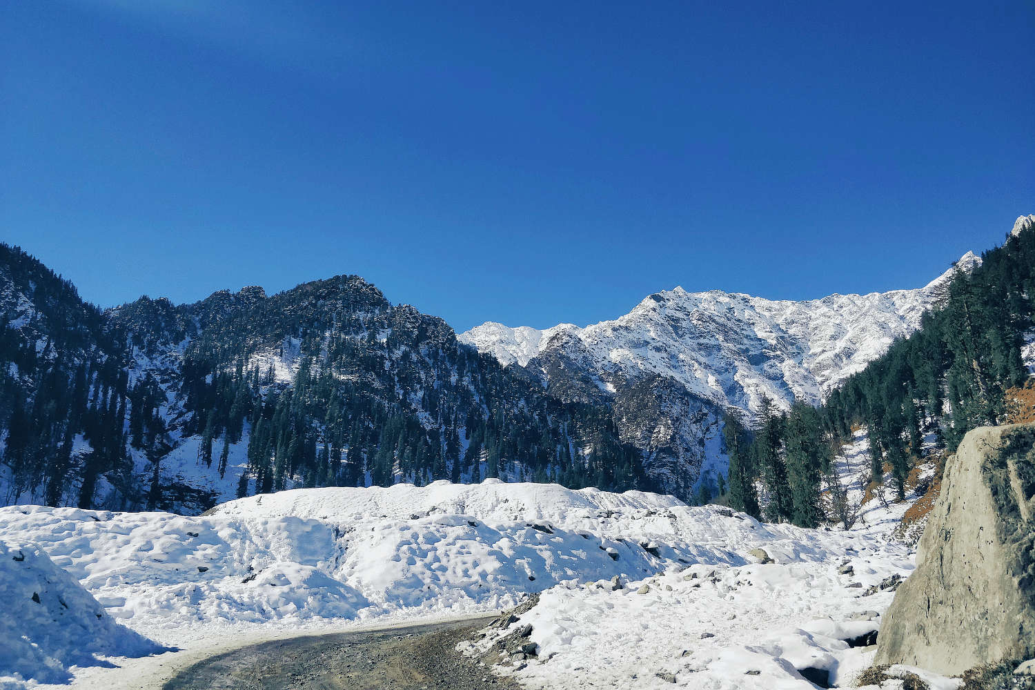 blog-images