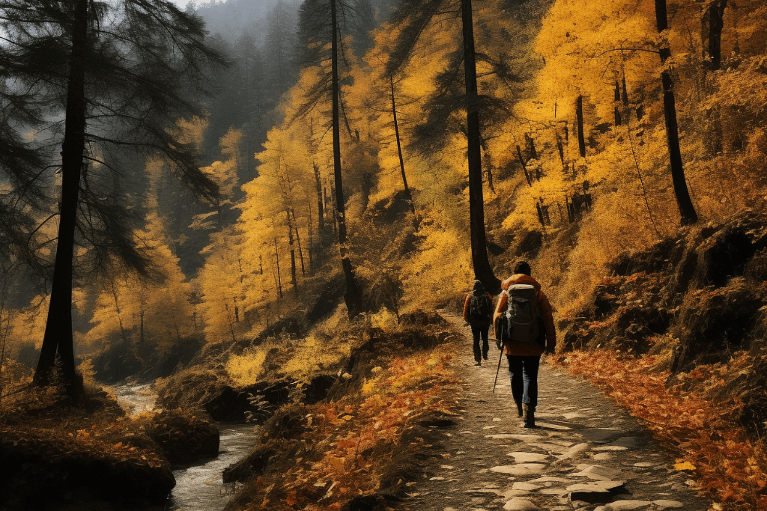 blog-images