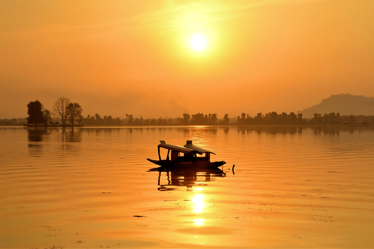 blog-images