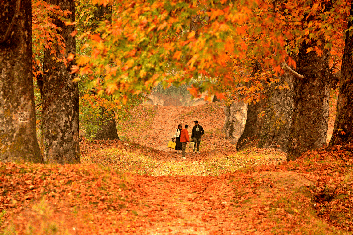 blog-images