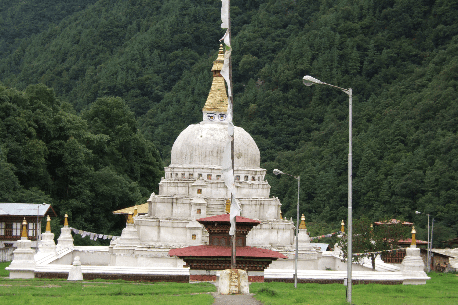 blog-images
