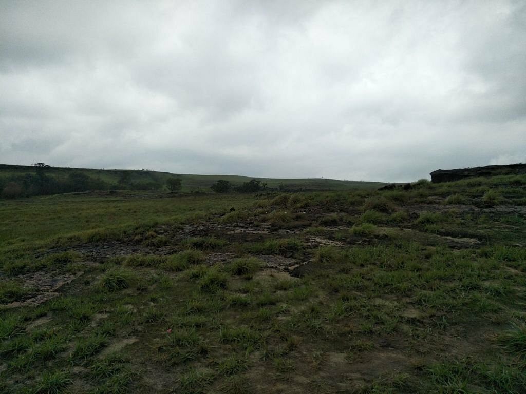 blog-images