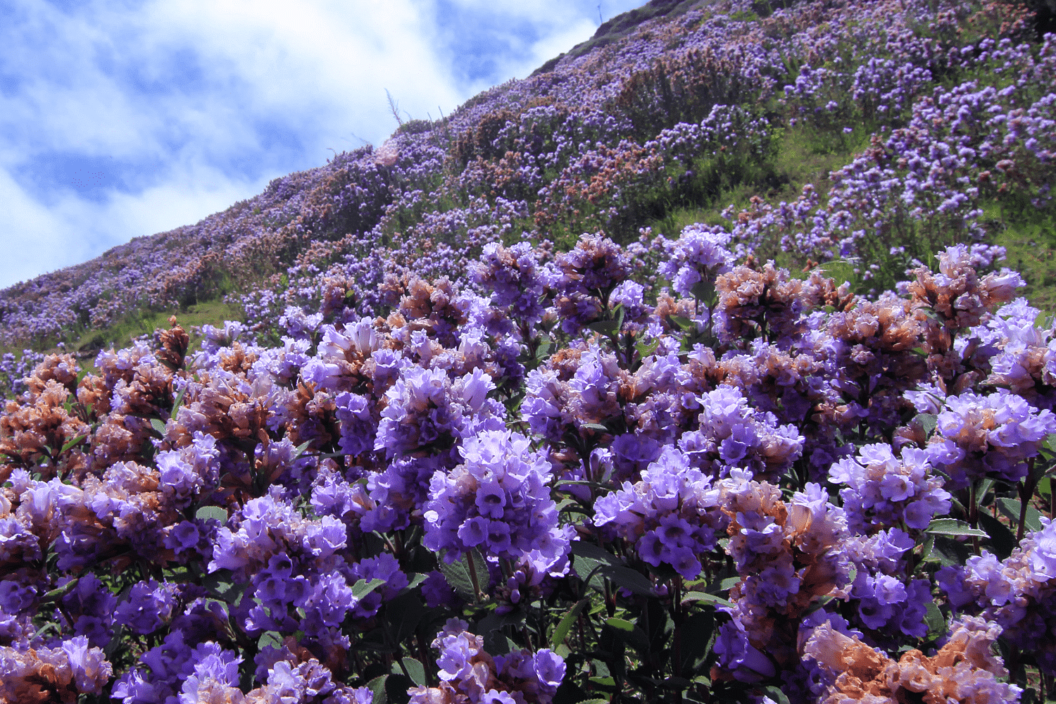blog-images