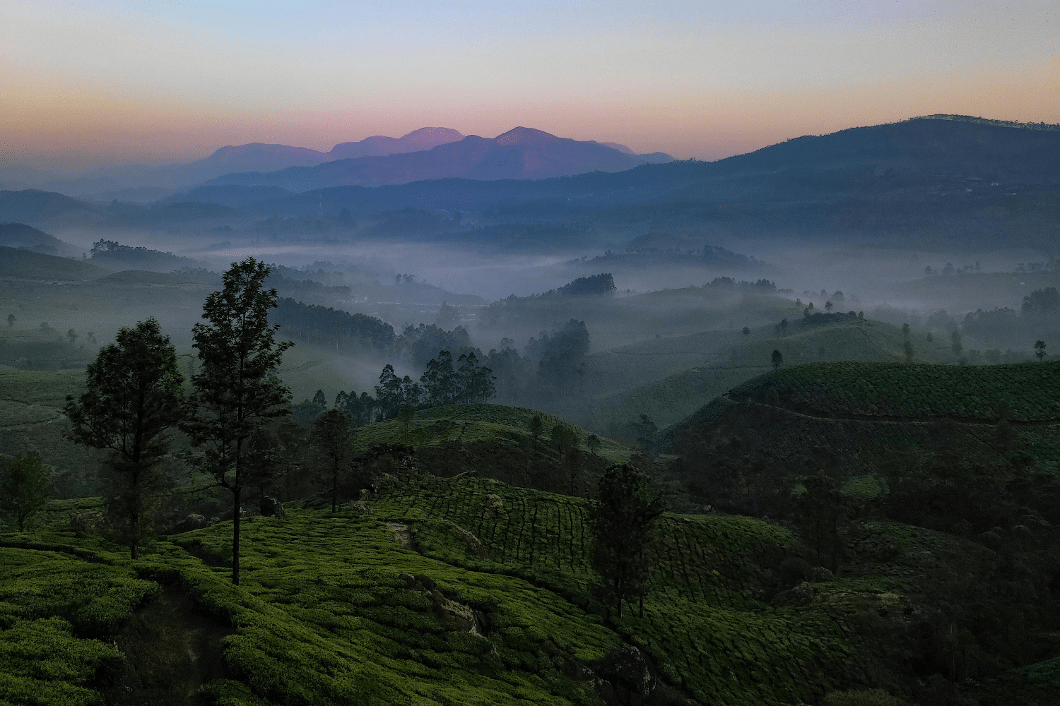 blog-images