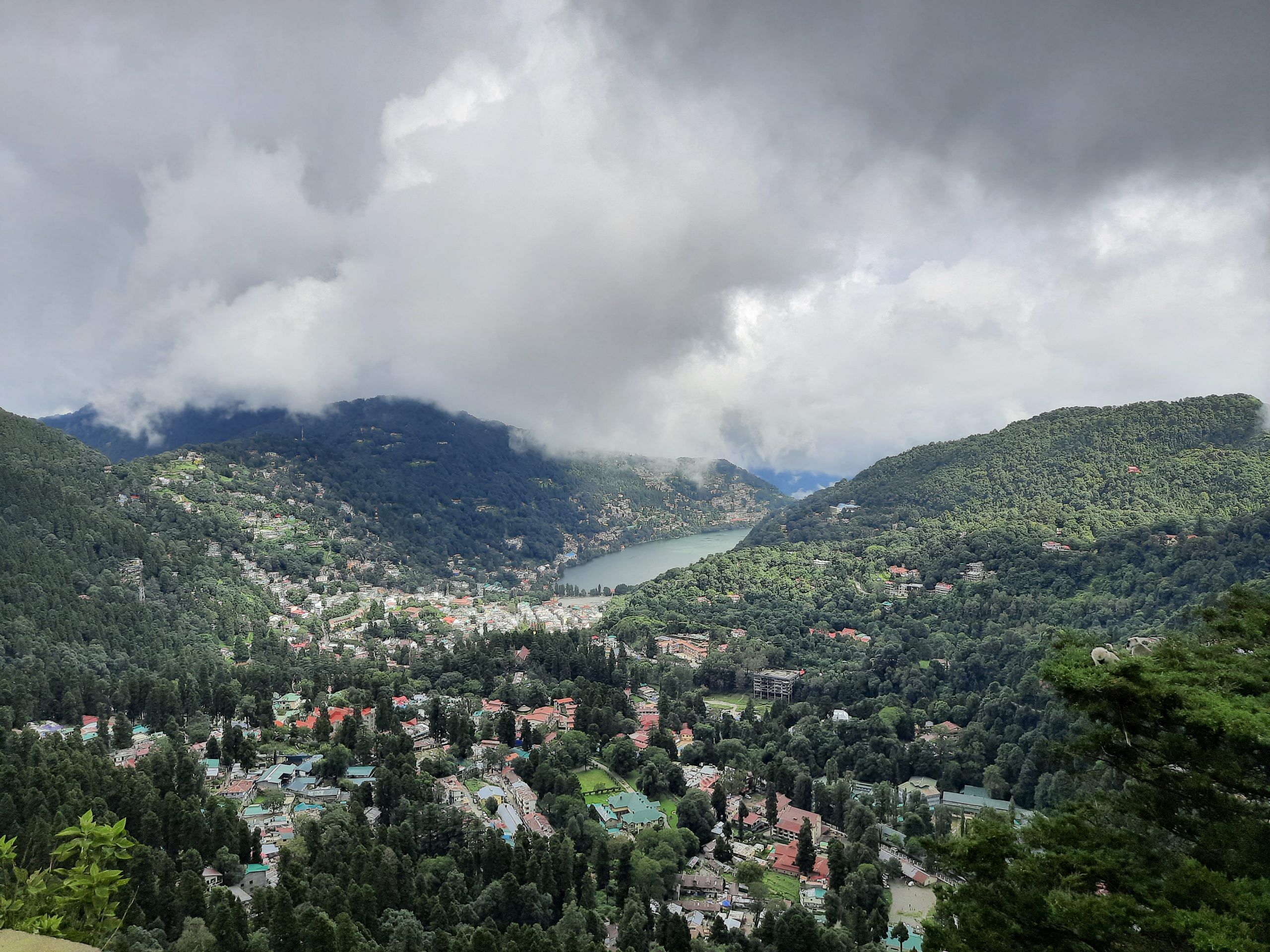 blog-images