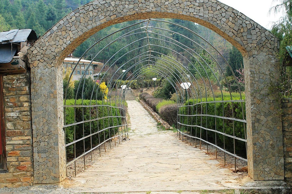 blog-images