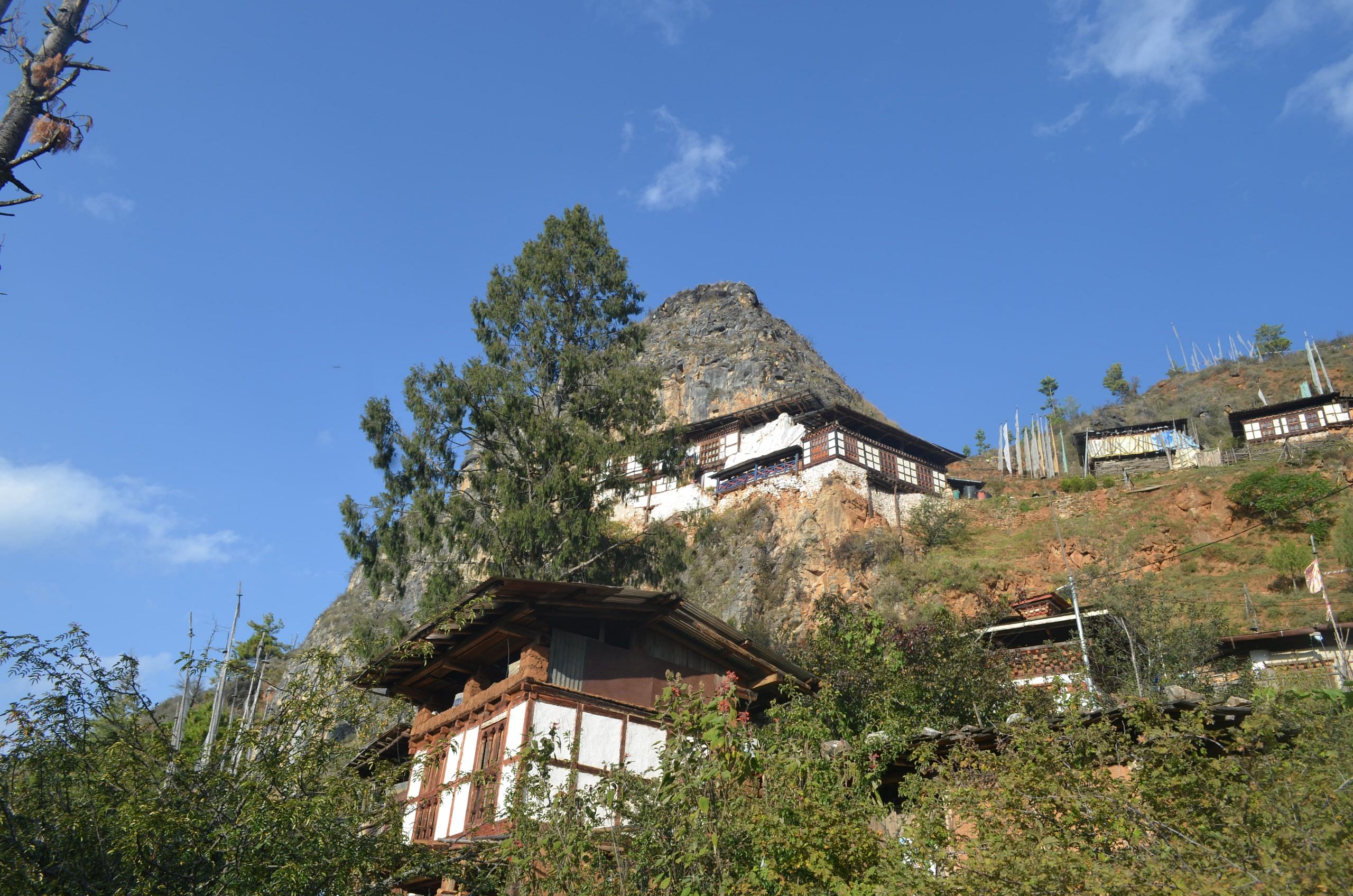 blog-images