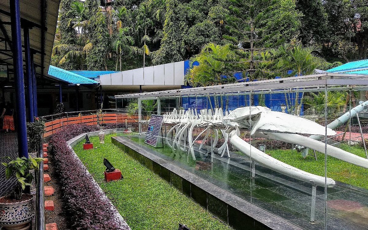 samudrika-marine-museum