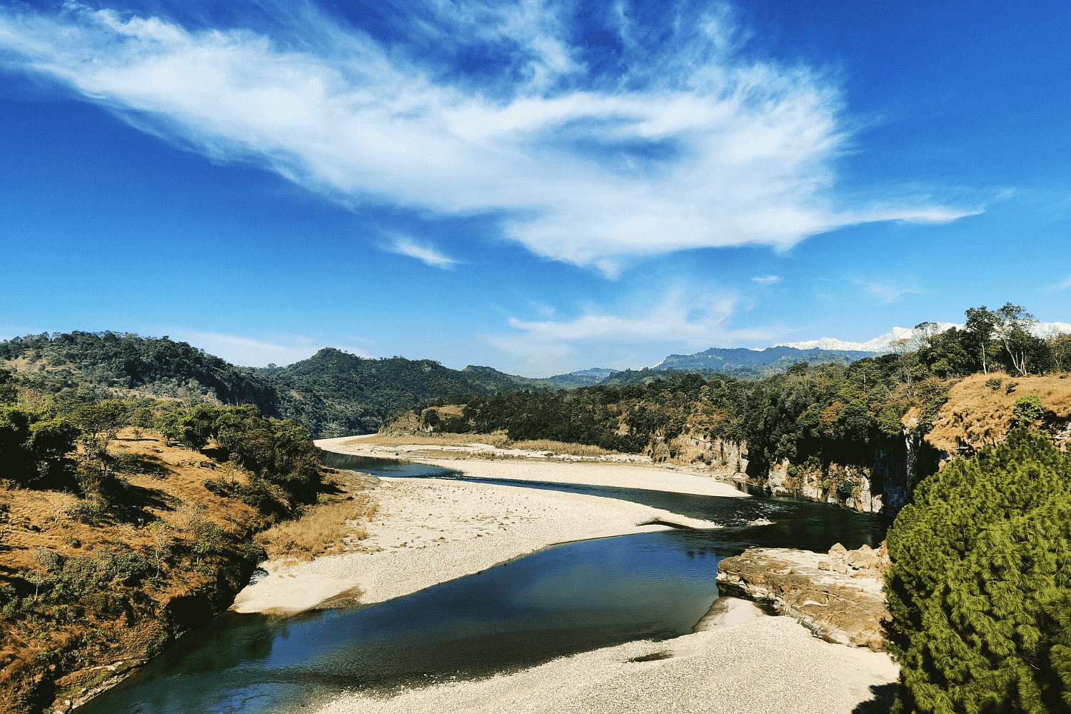 blog-images