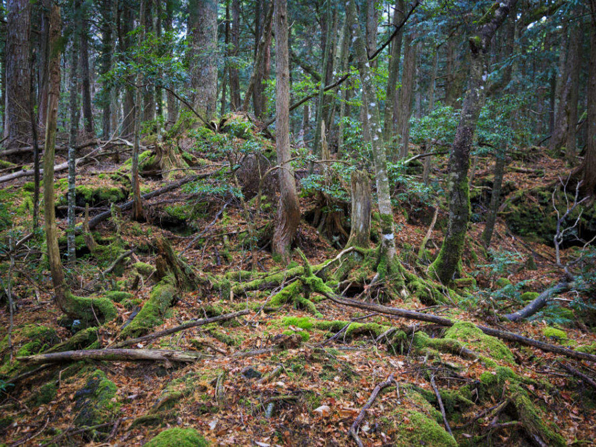 blog-images