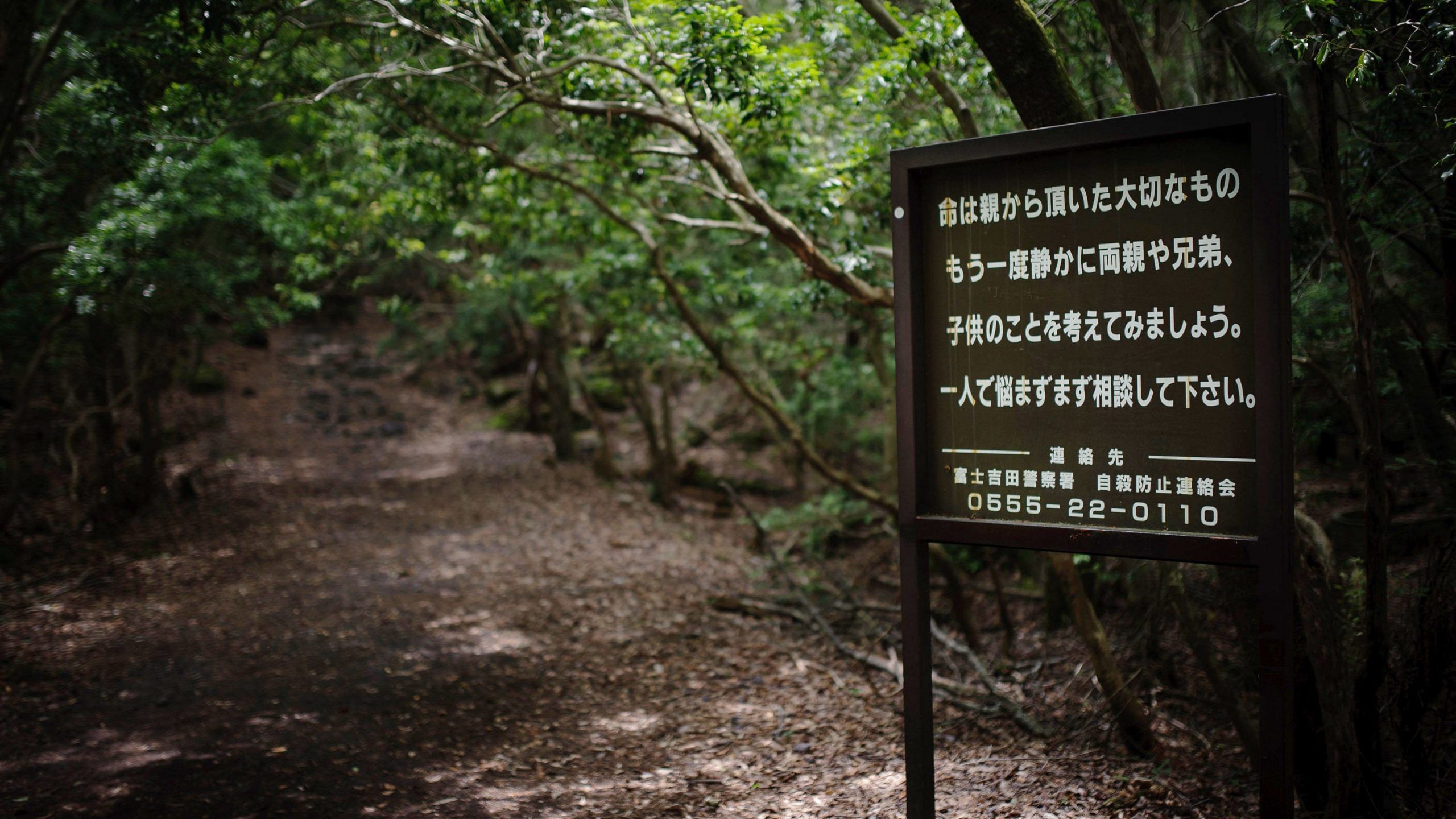 blog-images