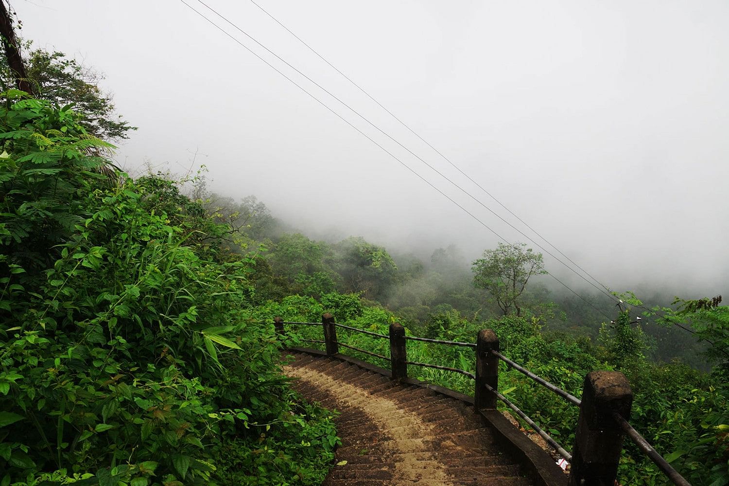blog-images