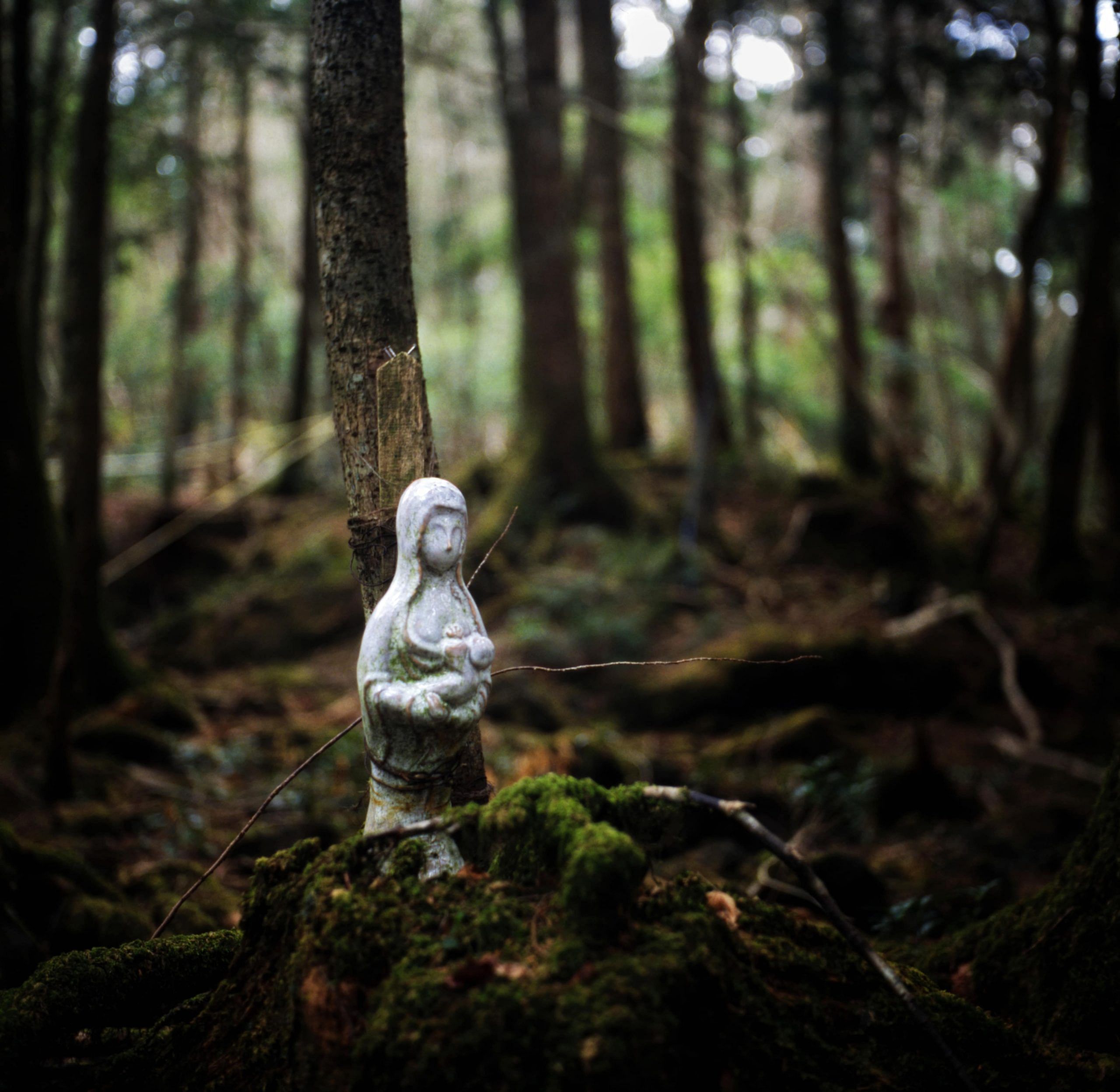 blog-images