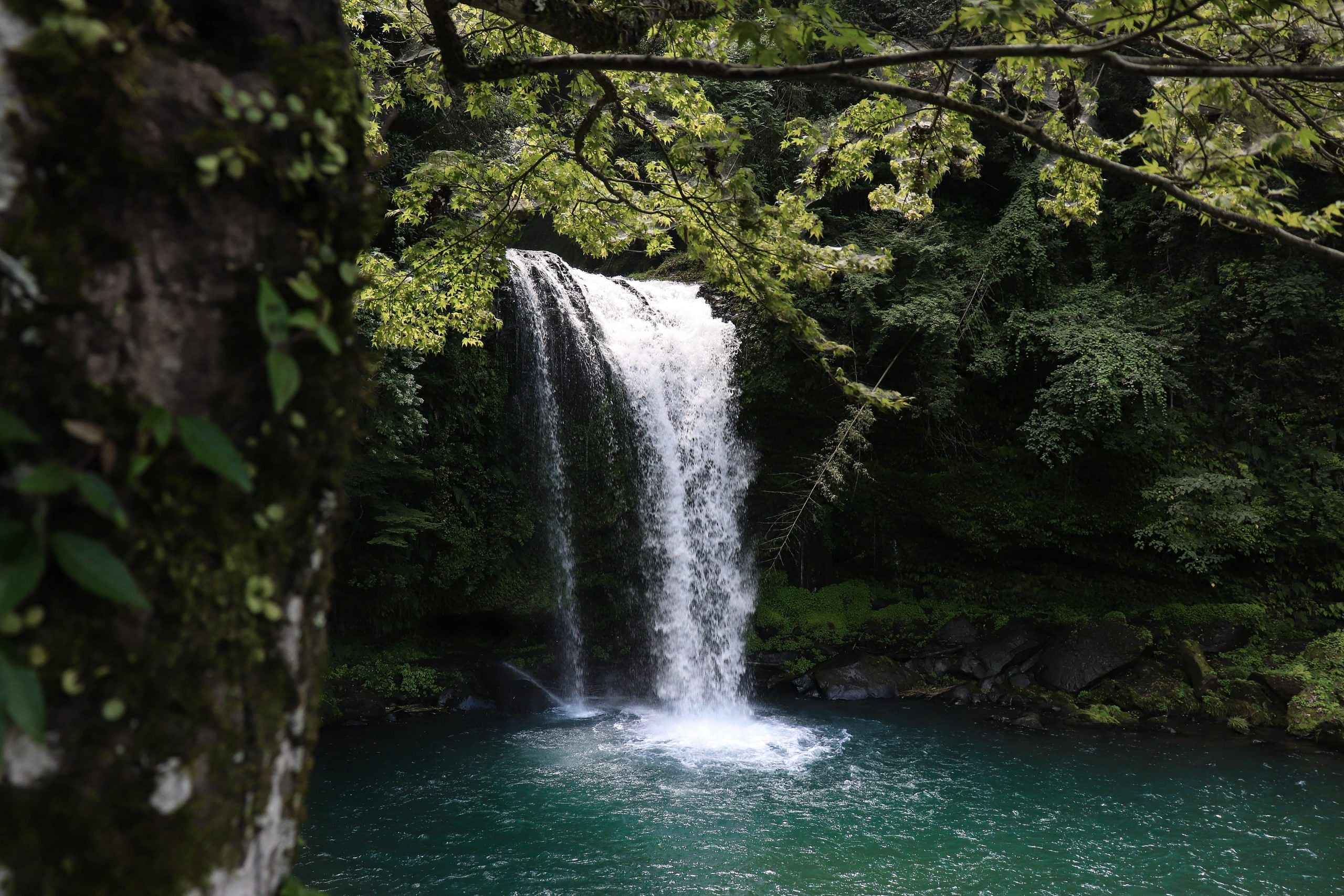 blog-images