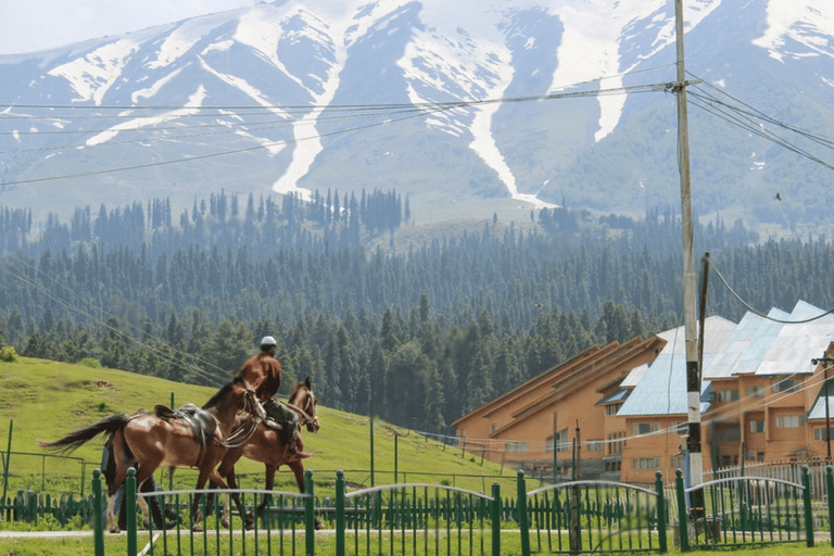 pony-ride-in-kashmir