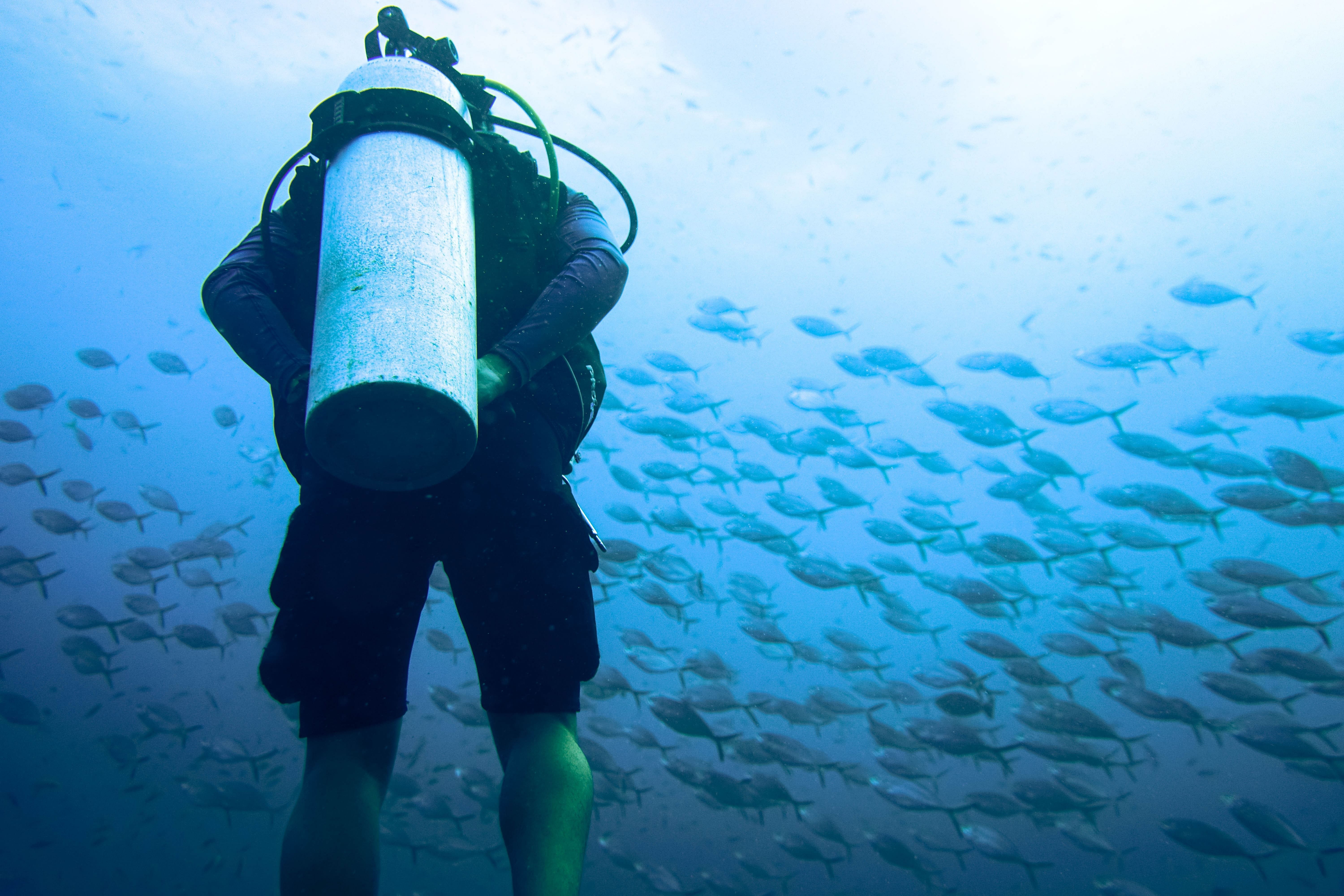 scuba-diving-in-sri-lanka