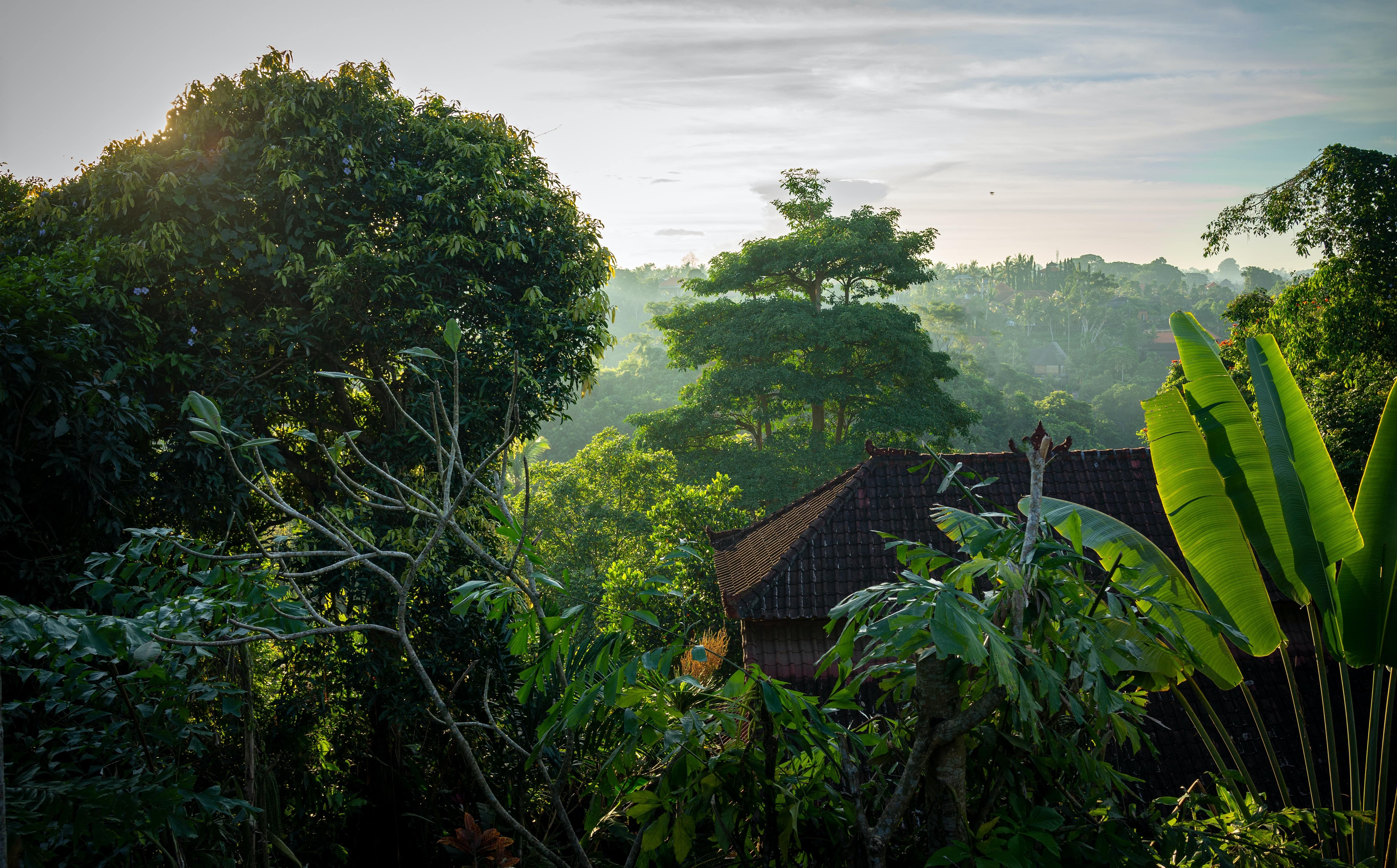 bali-in-december