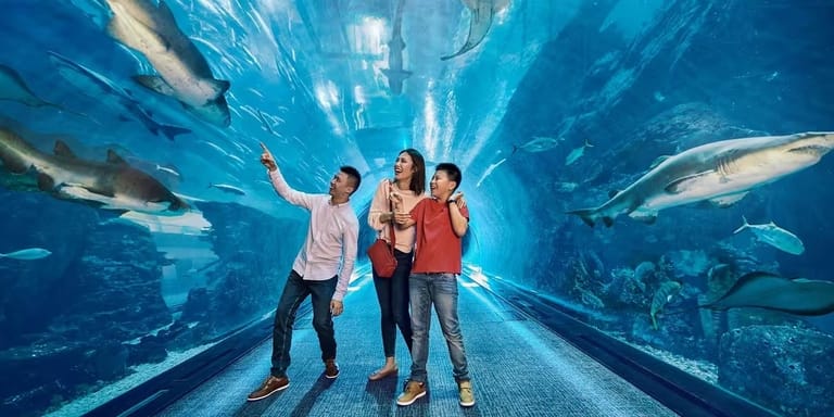 dubai-aquarium