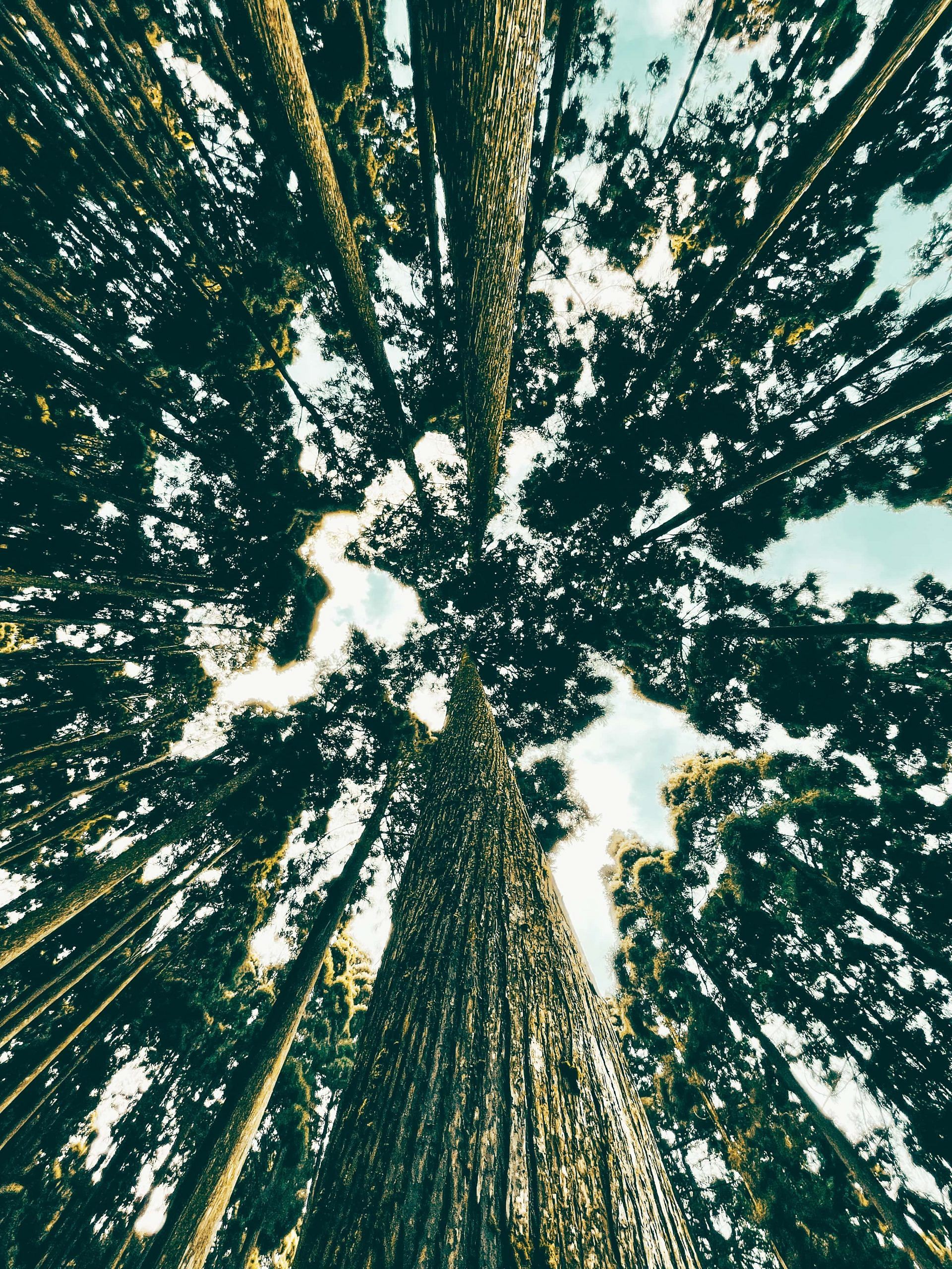 blog-images